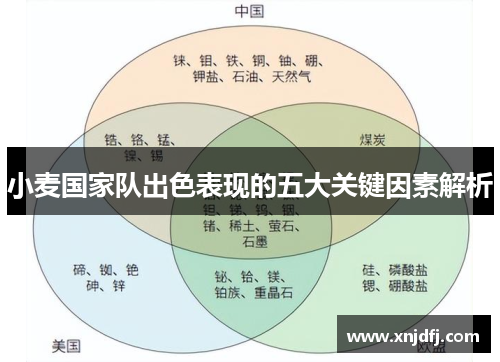 小麦国家队出色表现的五大关键因素解析