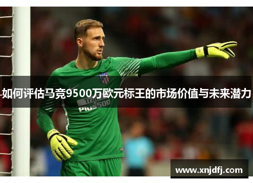 如何评估马竞9500万欧元标王的市场价值与未来潜力