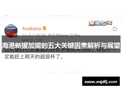 海港新援加盟的五大关键因素解析与展望
